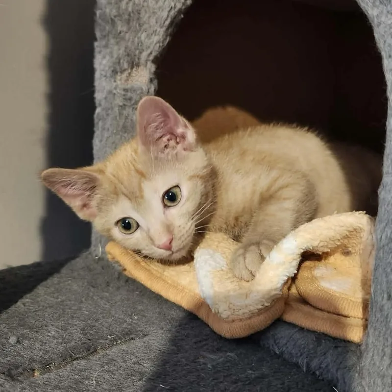 Mary Kate thumbnail 2