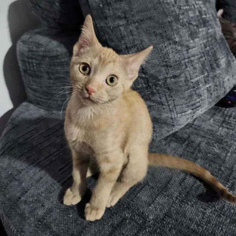 Mary Kate thumbnail 3