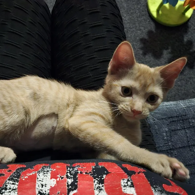 Mary Kate thumbnail 4