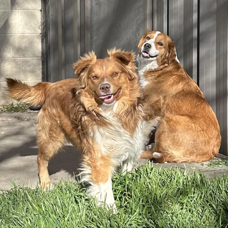 Thallium thumbnail 3