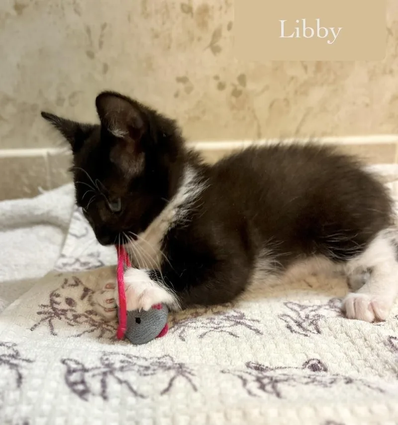 Libby thumbnail 3