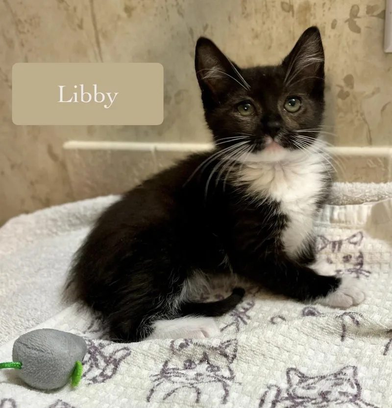 Libby thumbnail 4