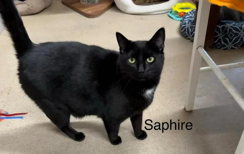 Saphire