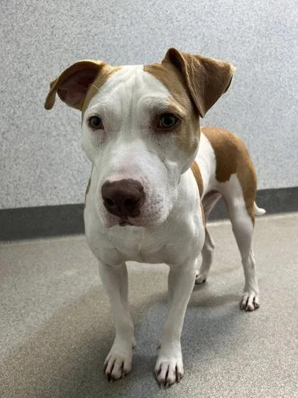 Mr. Ricky thumbnail 2