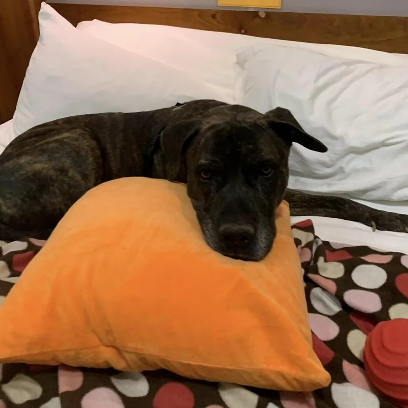 Buzz Lightyear thumbnail 2