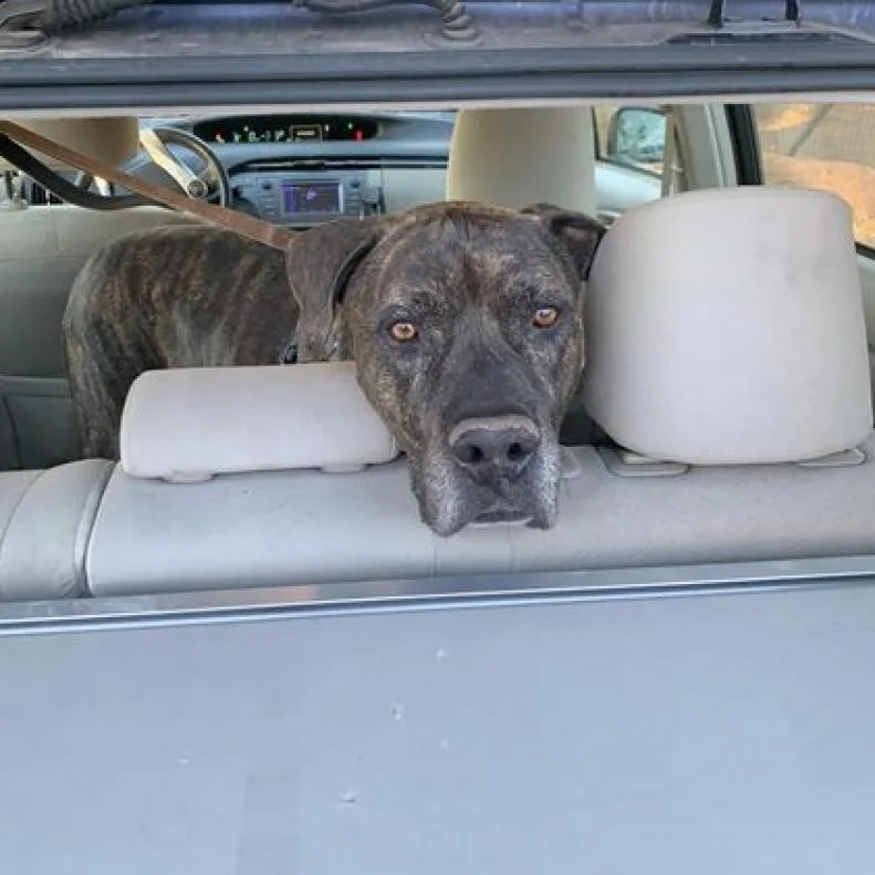 Buzz Lightyear thumbnail 6