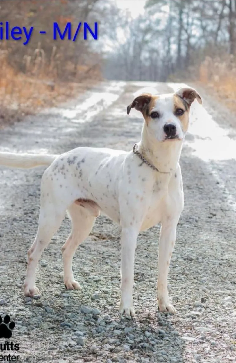 Riley  Arriving  thumbnail 2