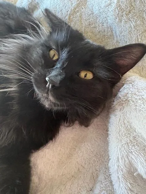 Sugar Baby thumbnail 2