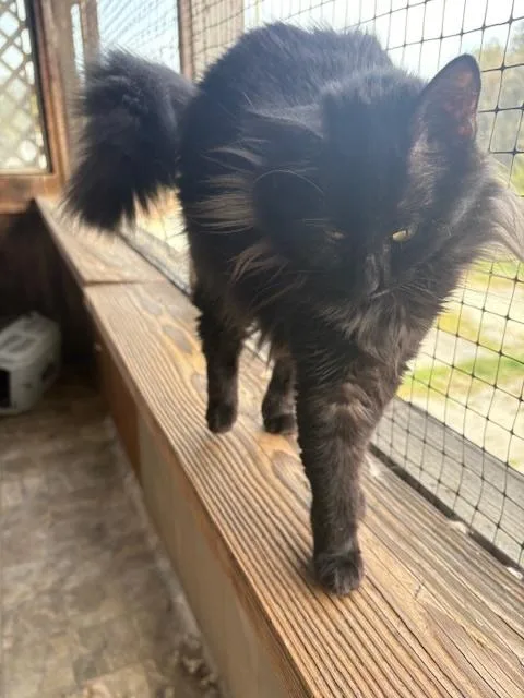 Sugar Baby thumbnail 3