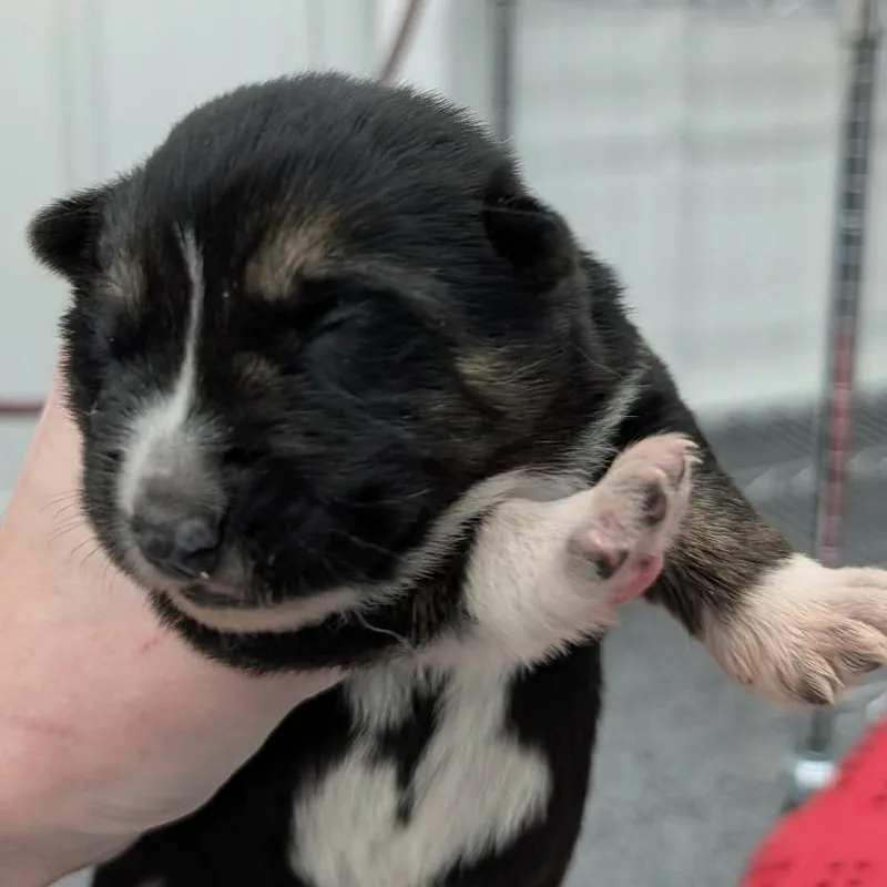 Winifred thumbnail 2