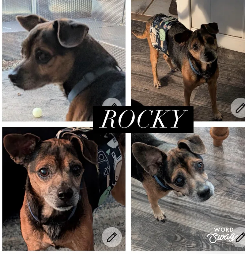 Rocky