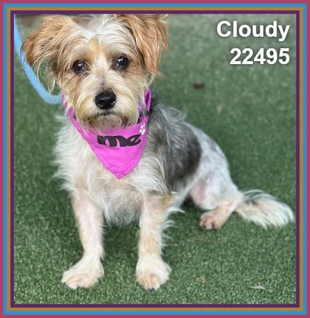 Cloudy