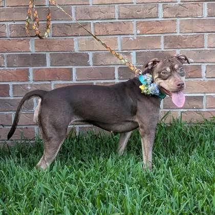 Louise Weezy thumbnail 2