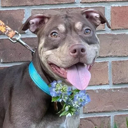 Louise Weezy thumbnail 3