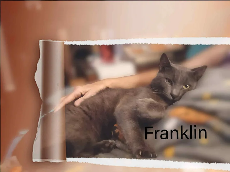 Franklin thumbnail 2