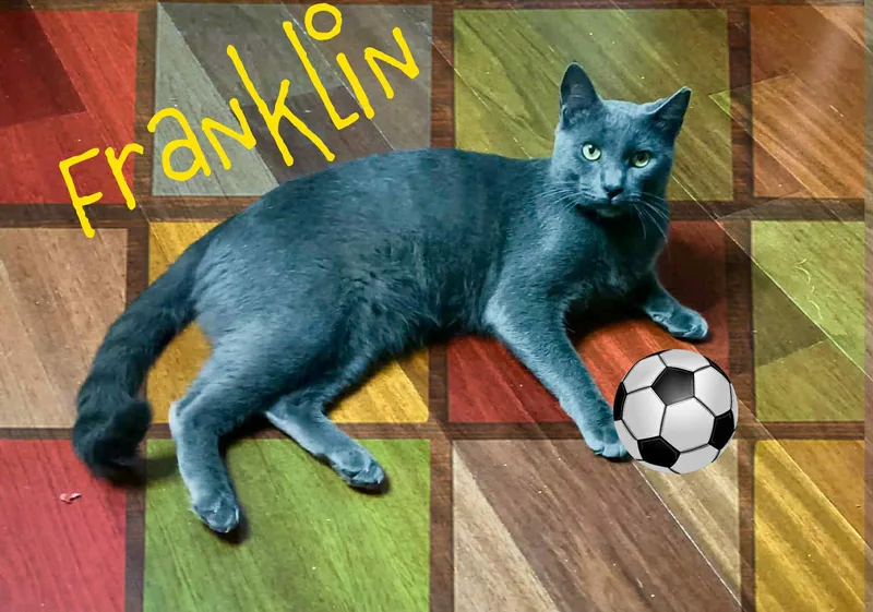 Franklin thumbnail 3