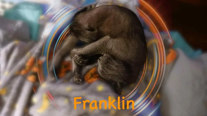 Franklin thumbnail 4