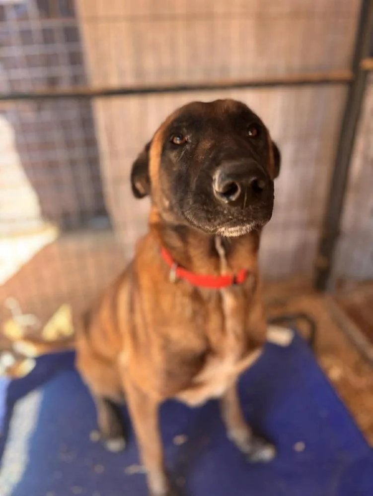 Shiloh Located In Nc thumbnail 2