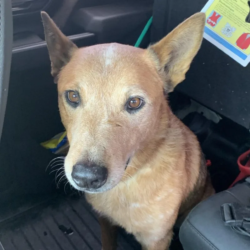 Jamison thumbnail 2