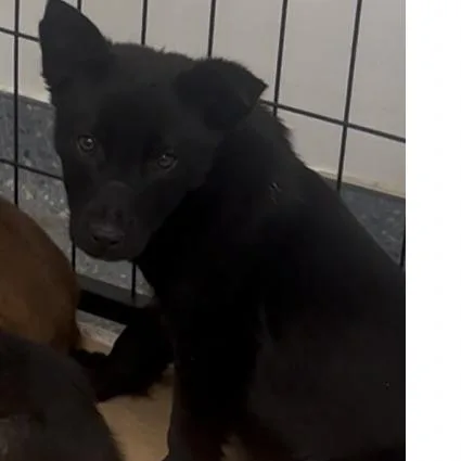 Cleveland thumbnail 2