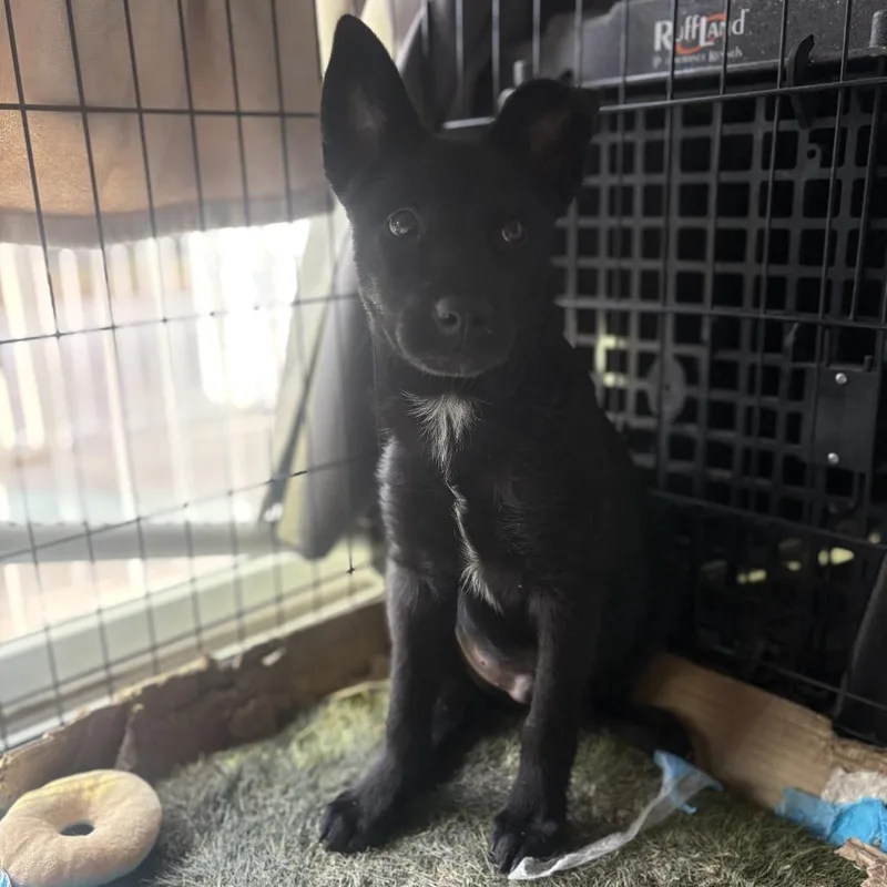 Cleveland thumbnail 3