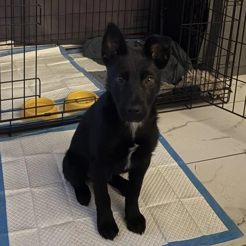 Cleveland thumbnail 4