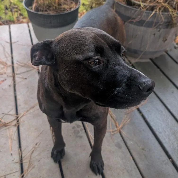 Sarah Jessica Barker thumbnail 3