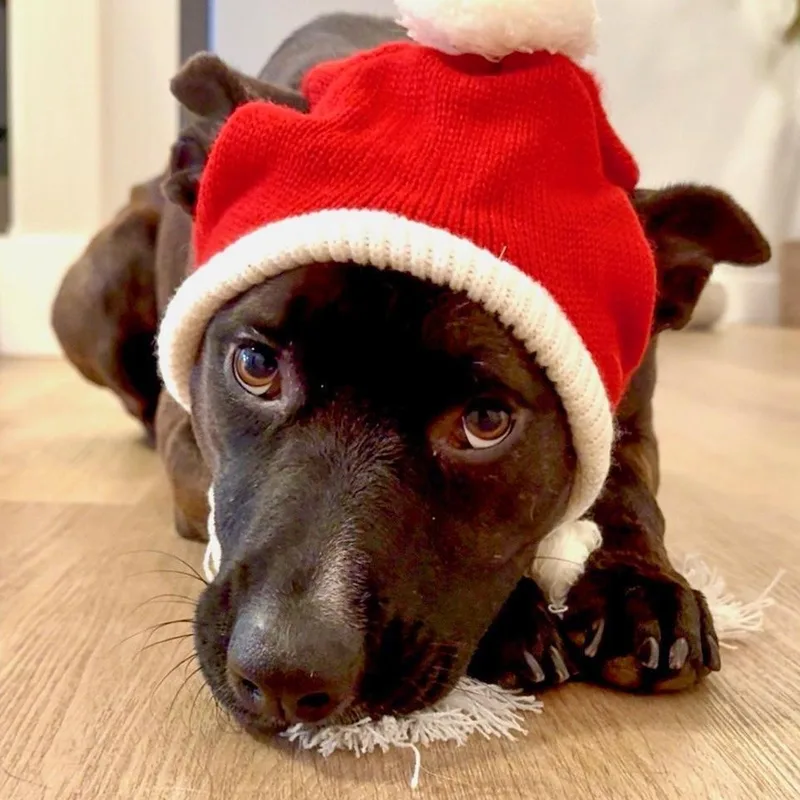 Sarah Jessica Barker