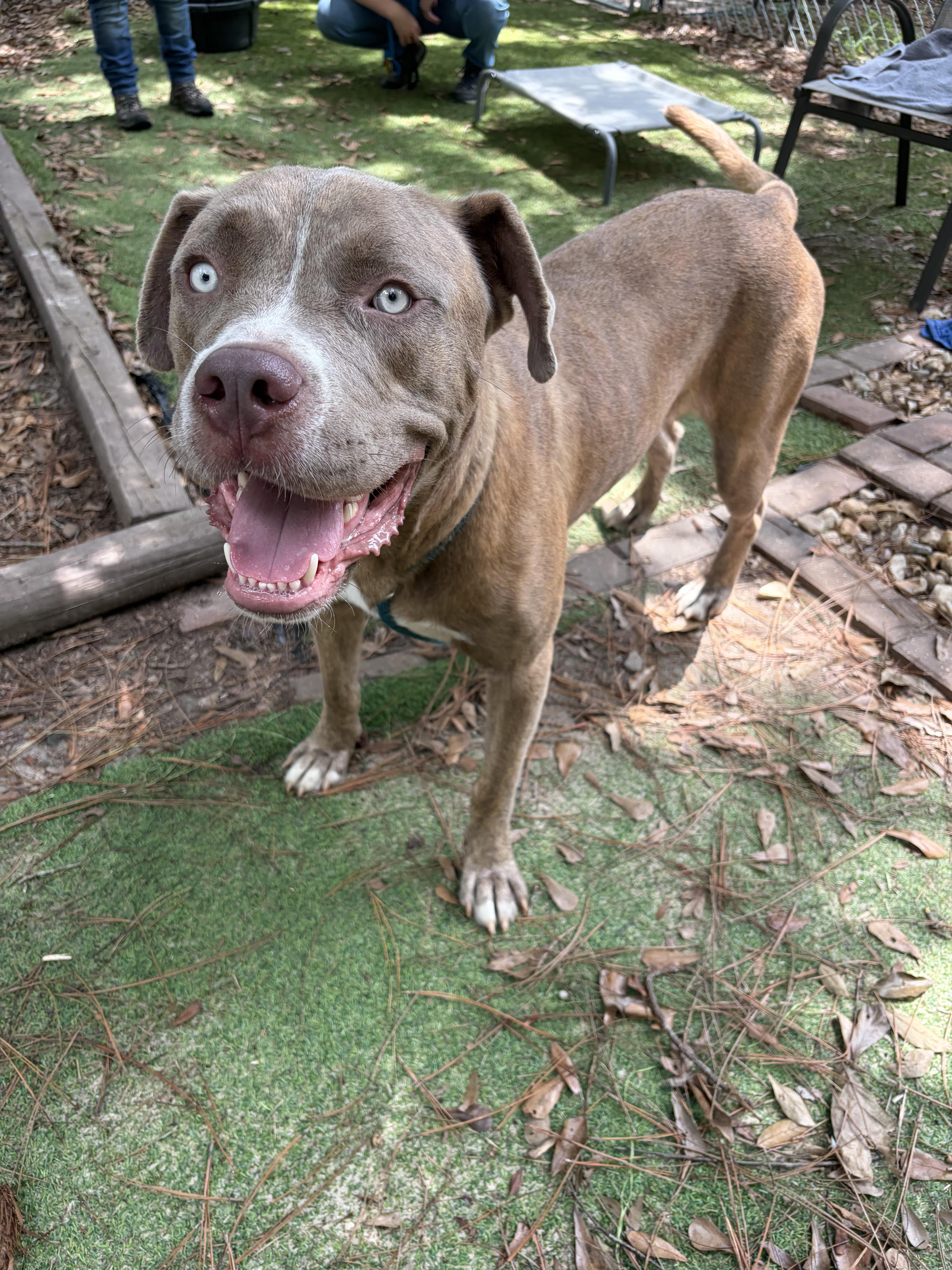 Zeus
