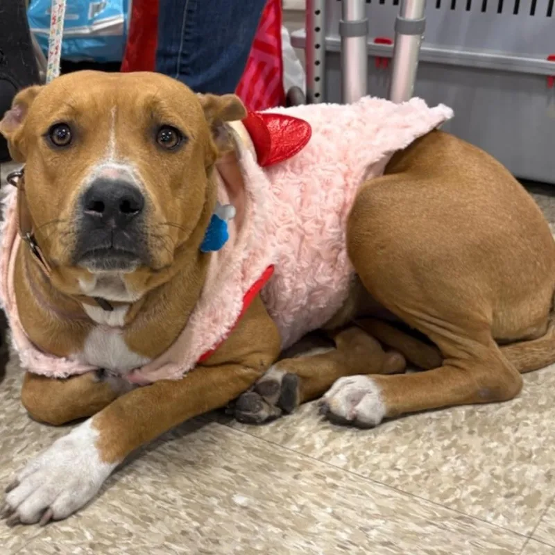 Peyton Marie thumbnail 2