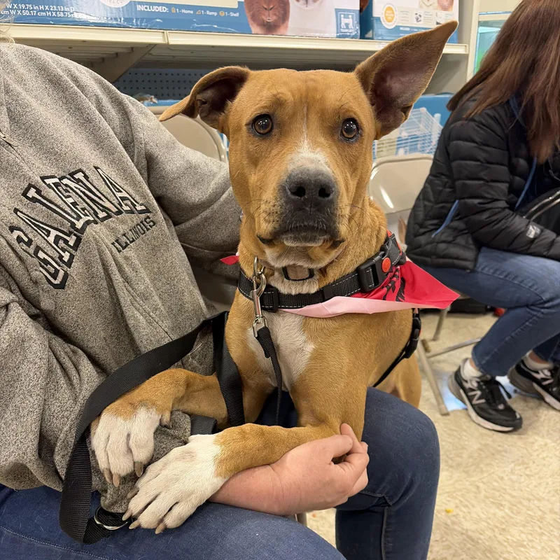 Peyton Marie thumbnail 3