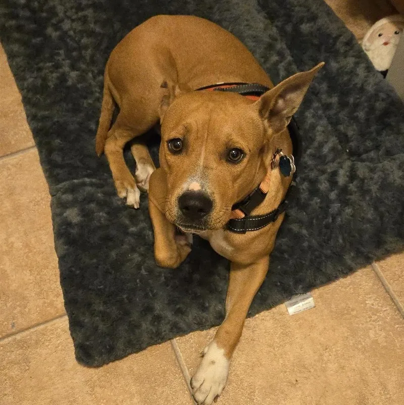 Peyton Marie thumbnail 4