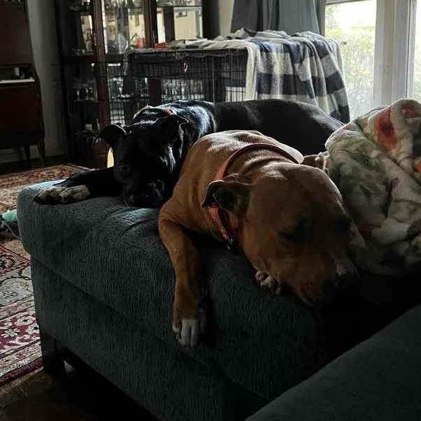 Peyton Marie thumbnail 5