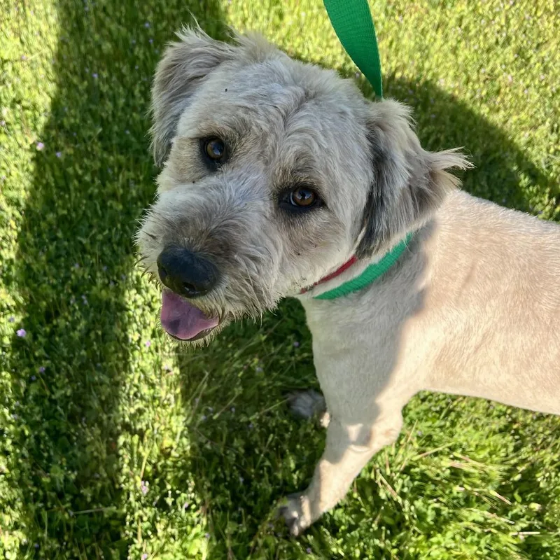 Sir Edmund thumbnail 3
