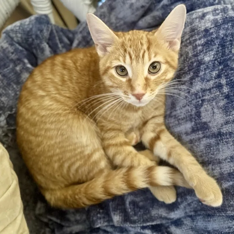 Lucky And Ash thumbnail 2