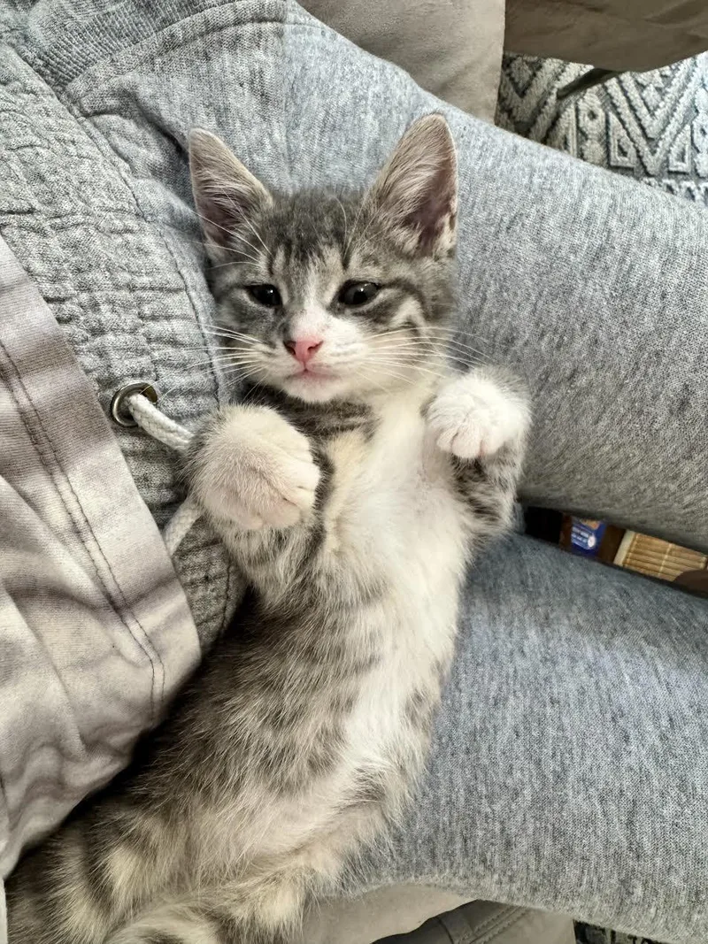 Lucky And Ash thumbnail 3