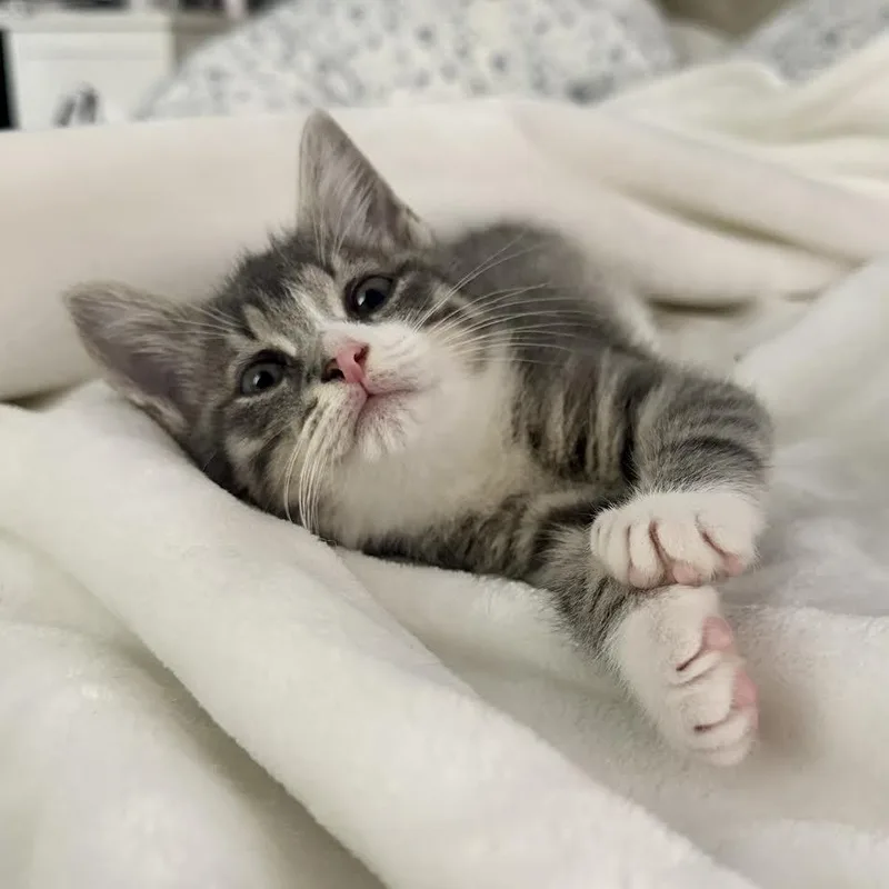 Lucky And Ash thumbnail 4