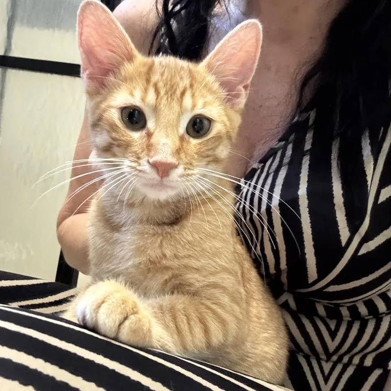 Lucky And Ash thumbnail 5