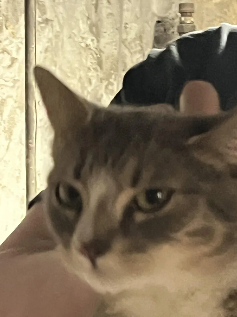 Andi thumbnail 3