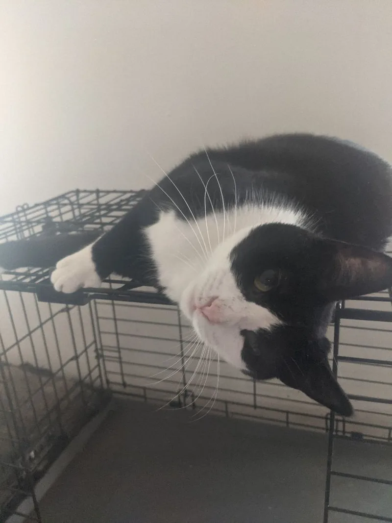 Shaquita thumbnail 5