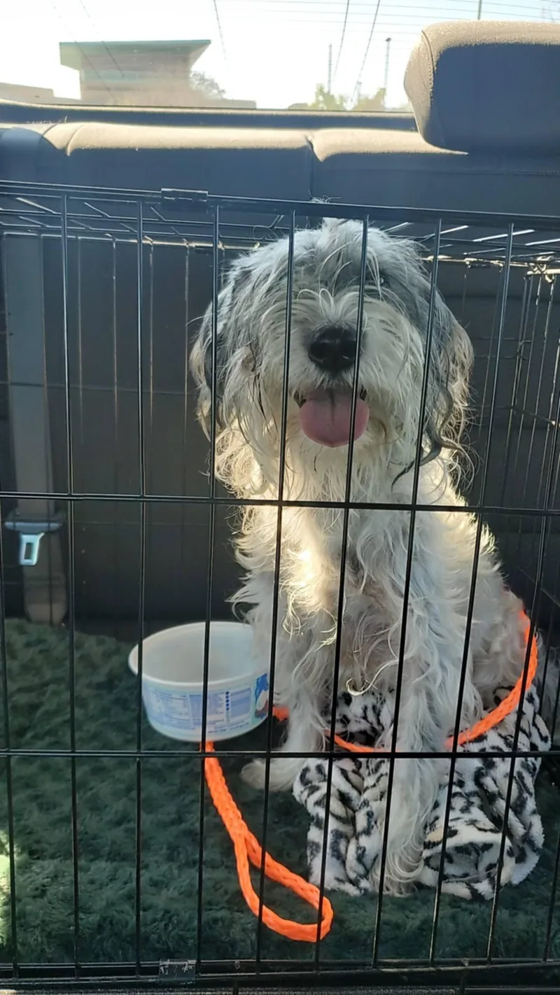 Patty Cake thumbnail 2