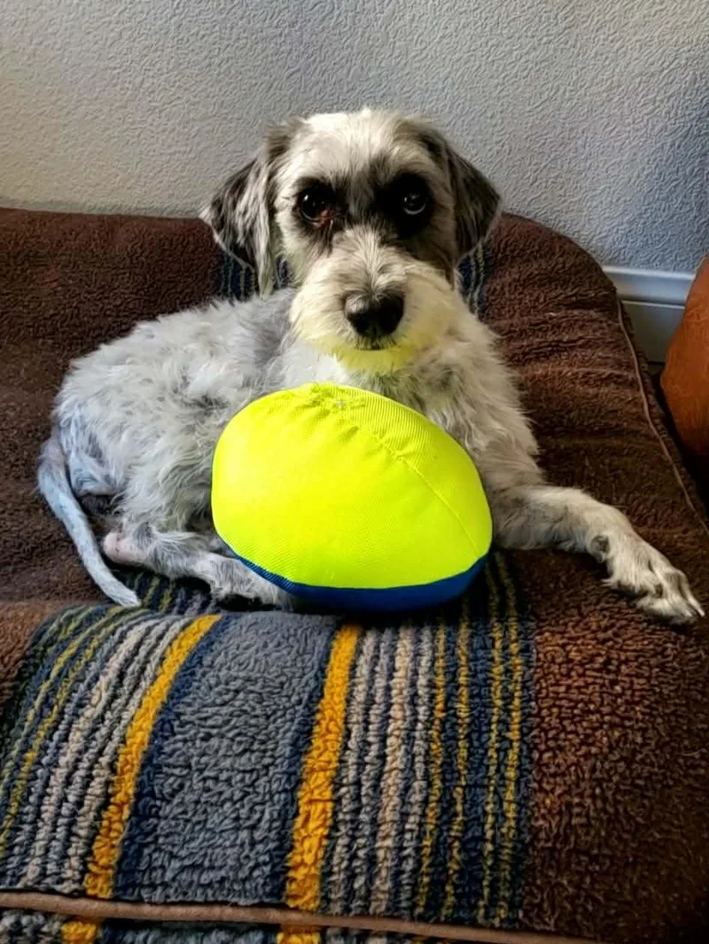 Patty Cake thumbnail 5