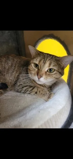 Lil Bit! thumbnail 4