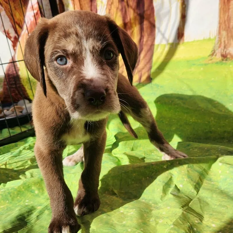 Griff Jb thumbnail 3