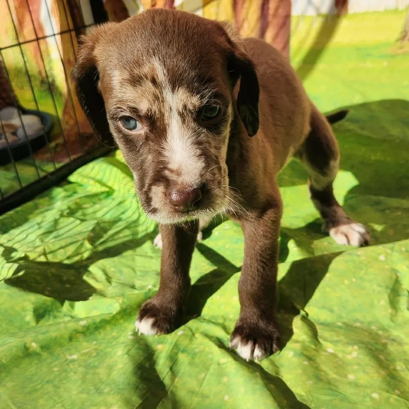 Griff Jb thumbnail 5