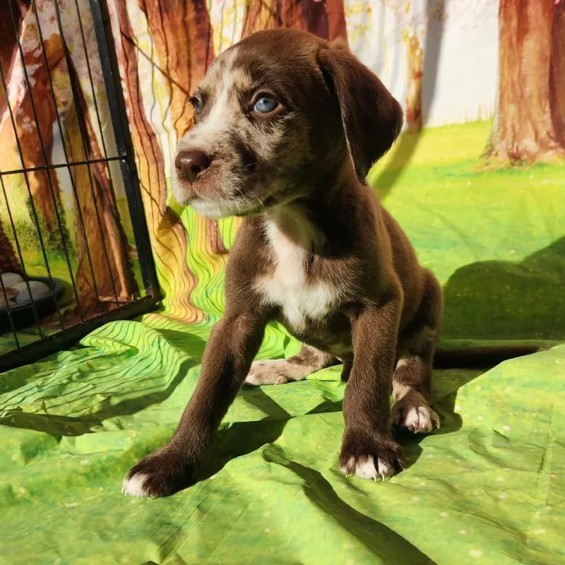 Griff Jb thumbnail 6