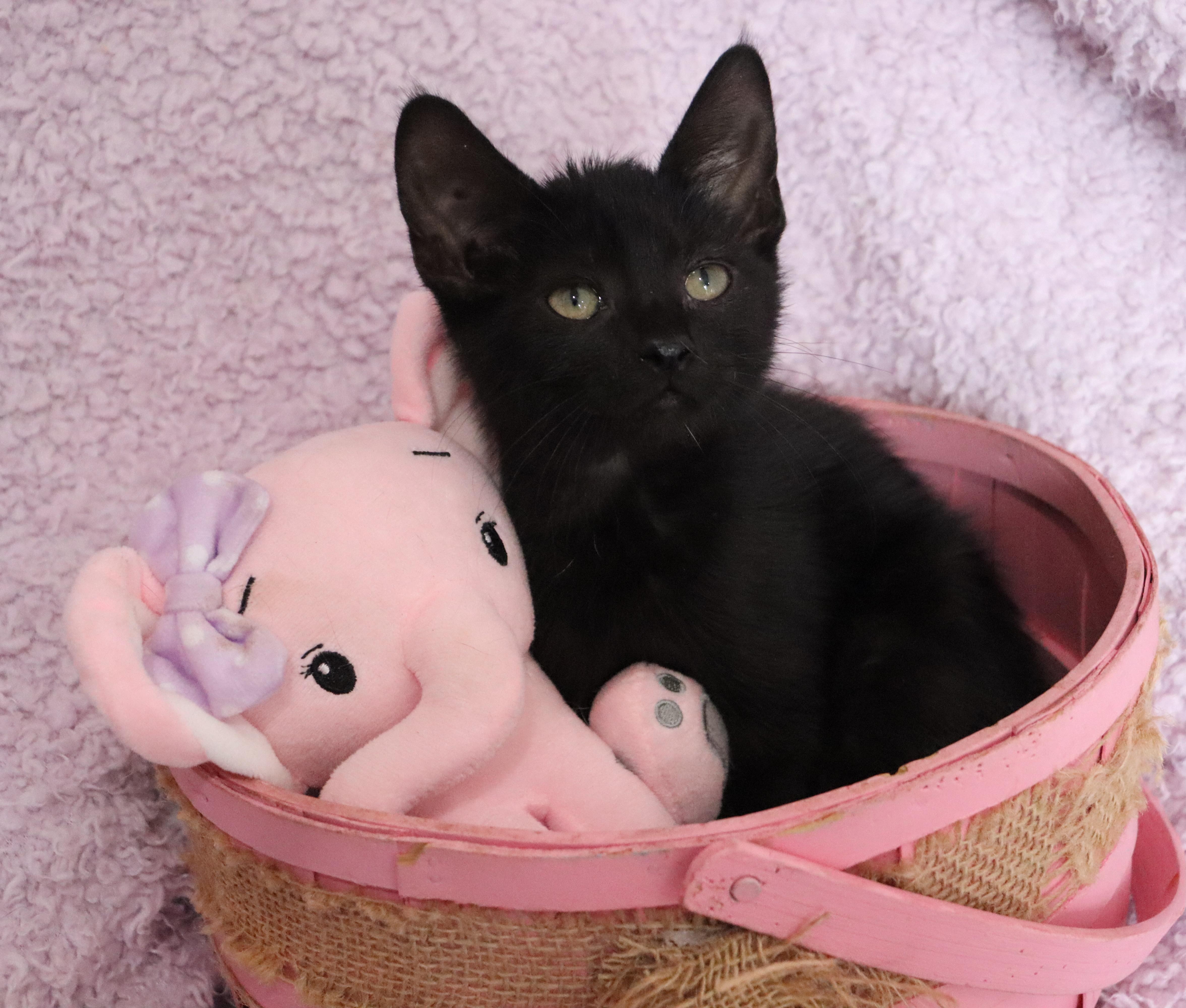 Chloe thumbnail 3