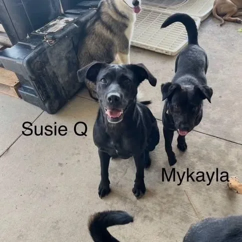 Mykayla thumbnail 4