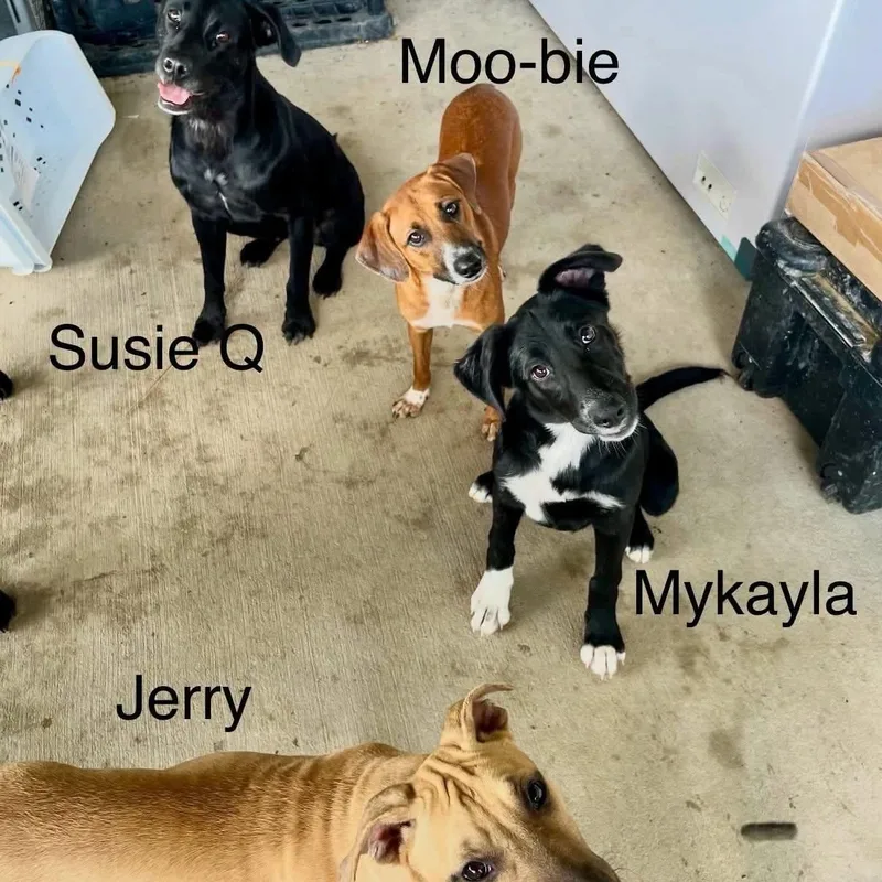Mykayla thumbnail 6
