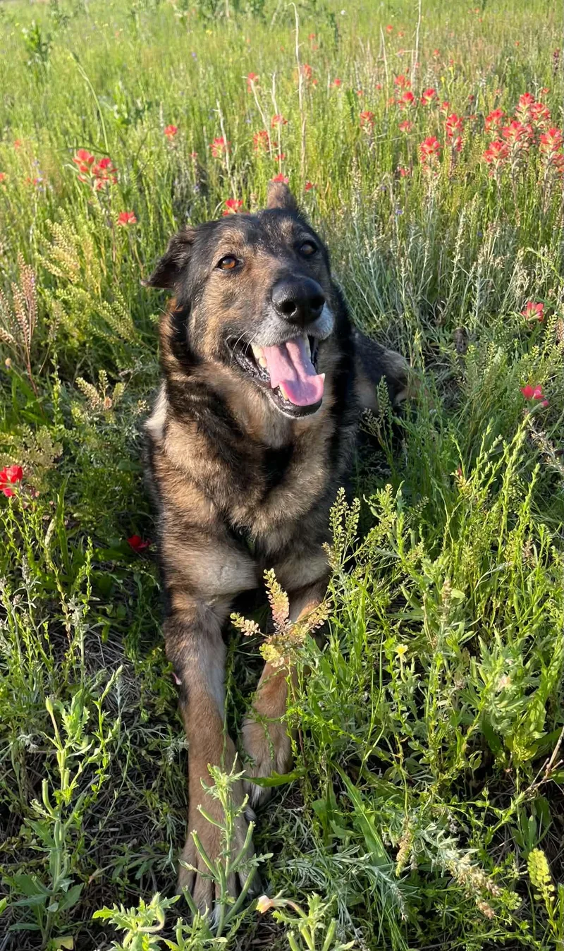 Mabeline thumbnail 2